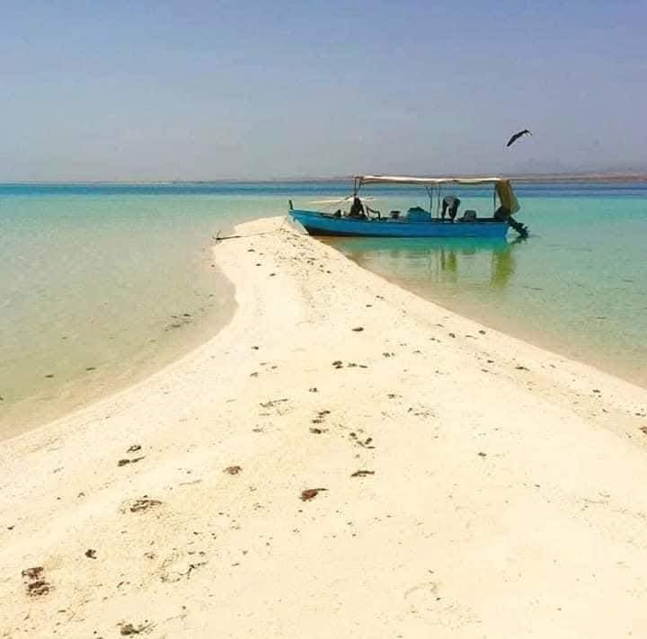 المعرض 3