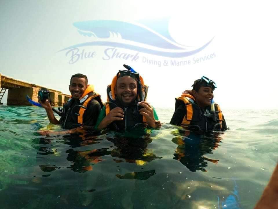 المعرض 5
