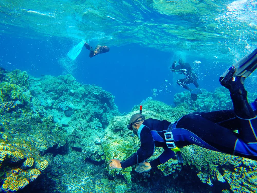 diving