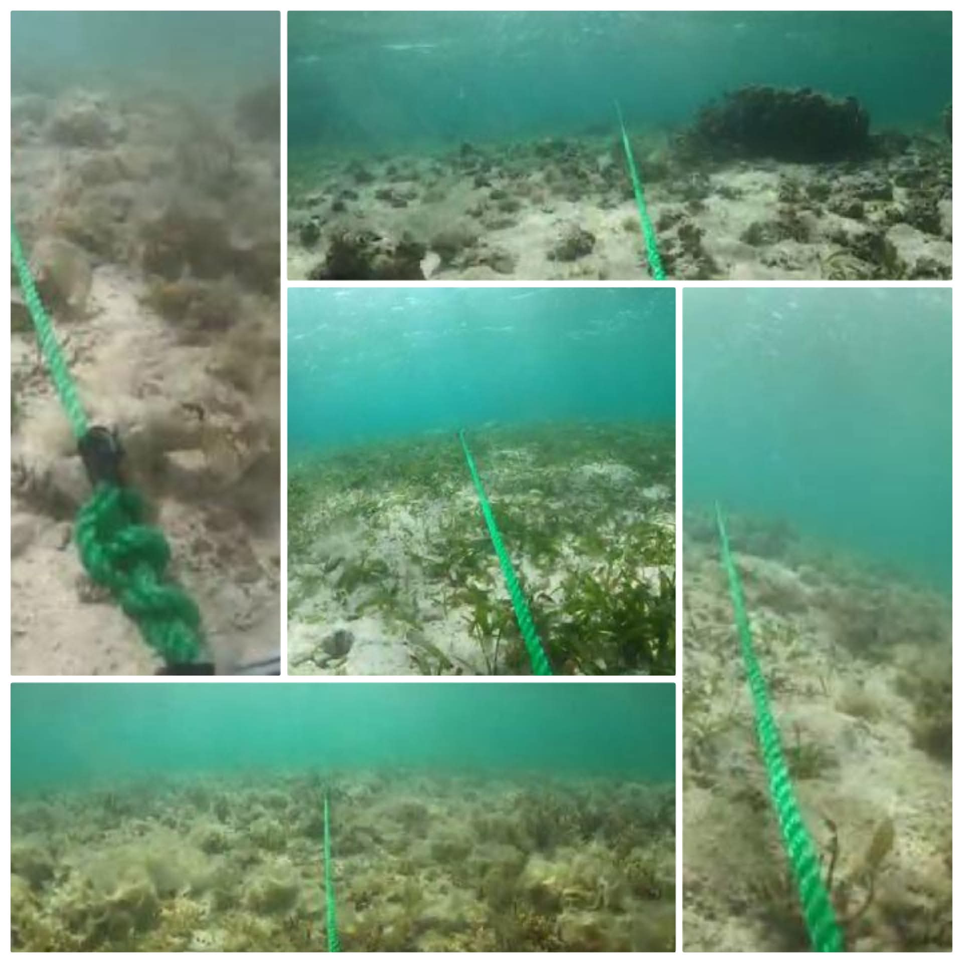 Seabed Sampling