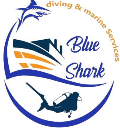 Blue Shark