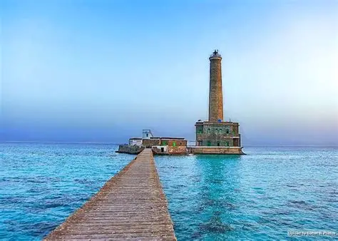 المعرض 1